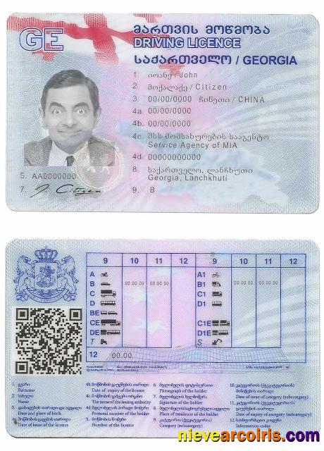 Georgia driving license